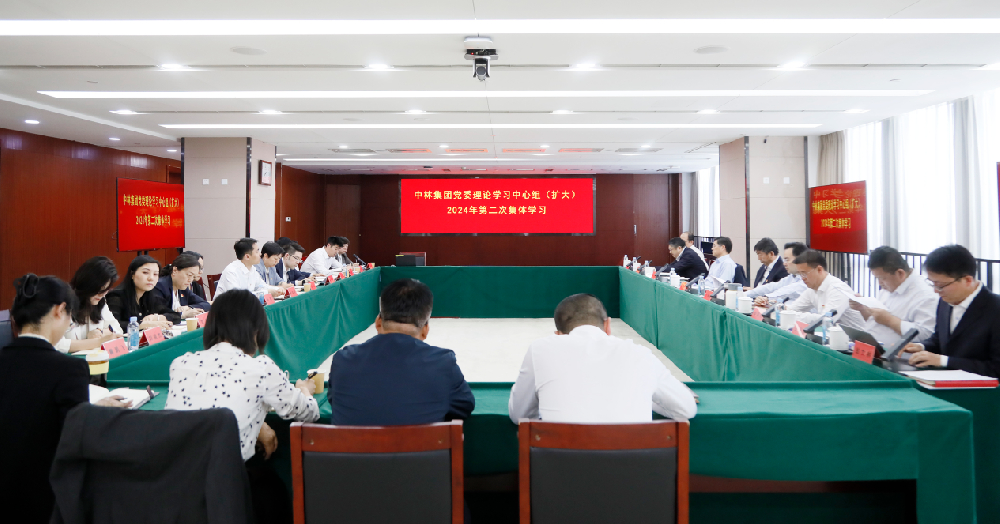 中林集团召开党委理论学习中心组（扩大）会专题学习席大大总书记关于发展新质生产力的重要论述